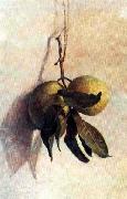 Benedito Calixto Guava oil painting artist